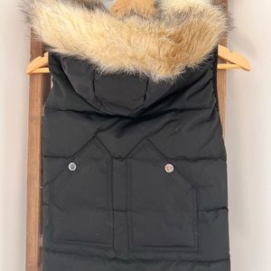 Dog Coat
